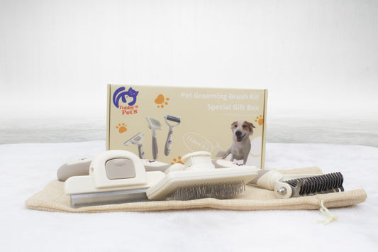 kit de cepillos para peinar
